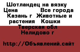 Шотландец на вязку › Цена ­ 1 000 - Все города, Казань г. Животные и растения » Кошки   . Тверская обл.,Нелидово г.